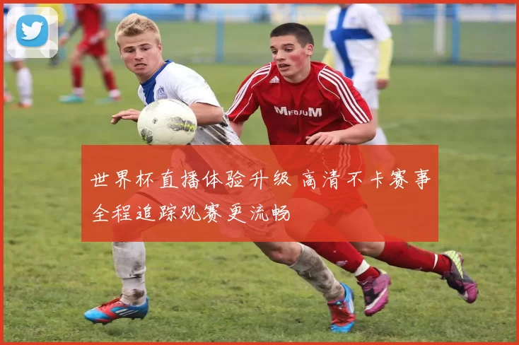 世界杯直播体验升级 高清不卡赛事全程追踪观赛更流畅